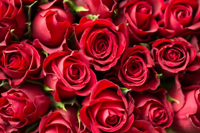anniversary-1867767_1280