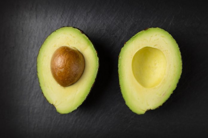 avocado-2644150_1280