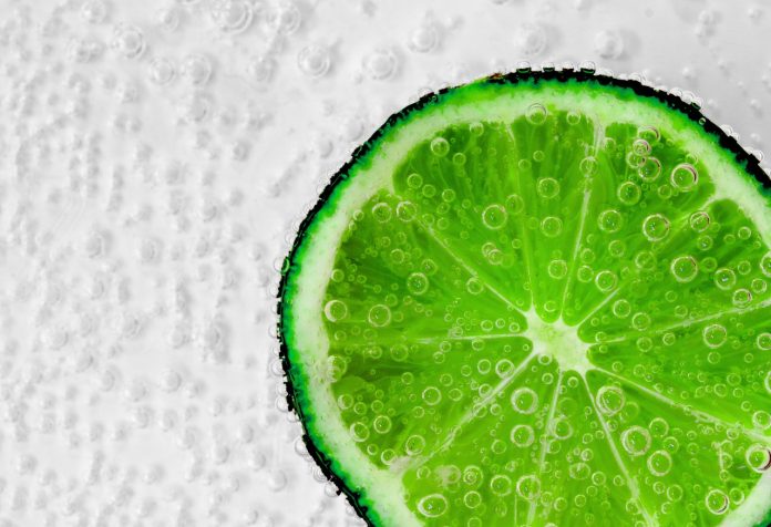 lime-319950_1280