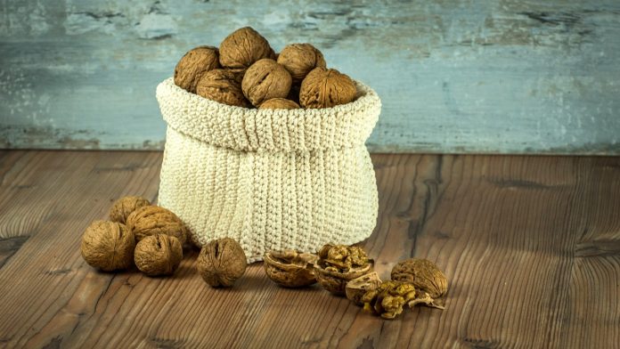 nuts-1213036_1280