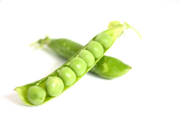 peas-16803_1280