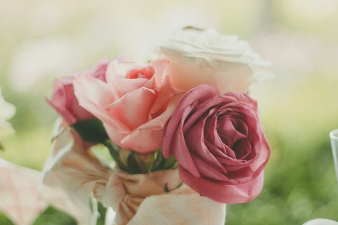 roses-983972_1280
