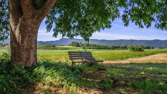 rural-area-3432088_1280