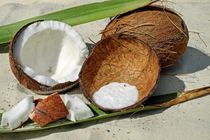coconut-2637727_1280