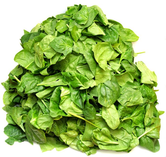 spinach-1799266_1280